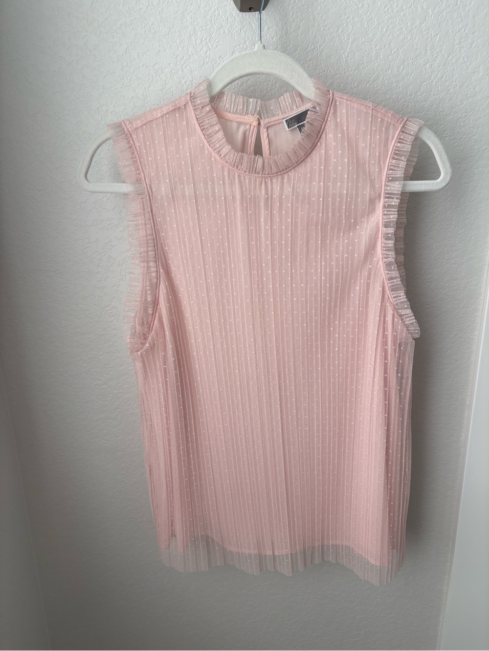 Chelsea28 Soft Pink Sleeveless Ruffle-Trim Sheer Stripe Top